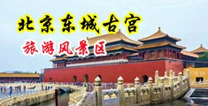欧美变天就操屄中国北京-东城古宫旅游风景区